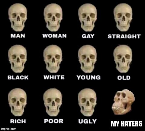 idiot skull | MY HATERS | image tagged in idiot skull | made w/ Imgflip meme maker