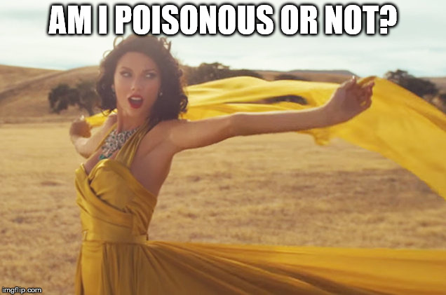 Wildest Dreams Taylor | AM I POISONOUS OR NOT? | image tagged in wildest dreams taylor | made w/ Imgflip meme maker