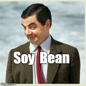 Soy Bean | Soy  Bean | image tagged in mr bean smirk,memes | made w/ Imgflip meme maker