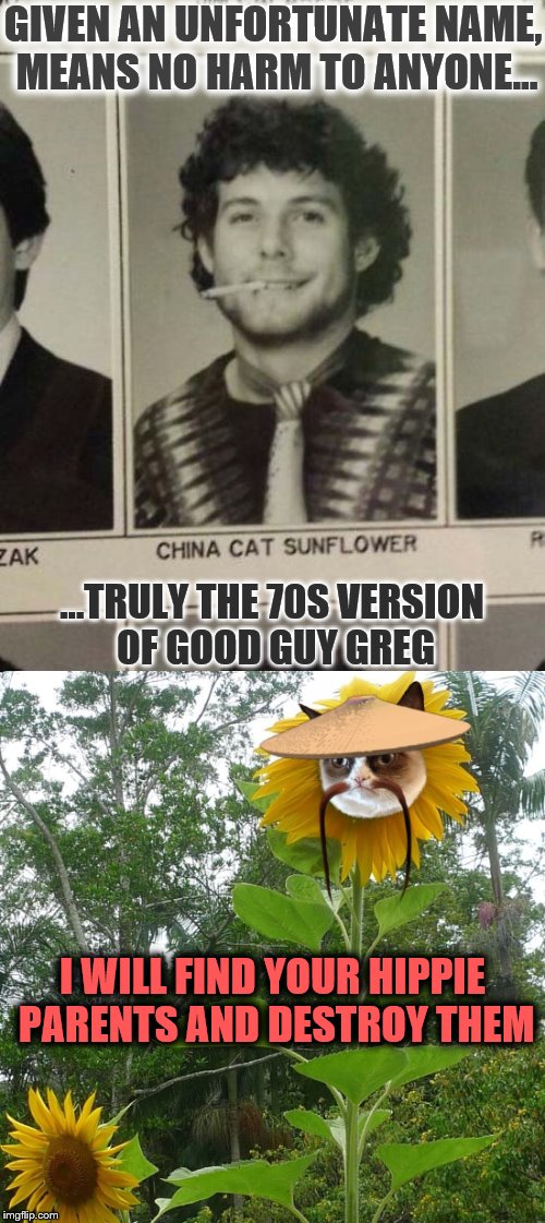 Good Guy Greg vs. Grumpy Cat | GIVEN AN UNFORTUNATE NAME, MEANS NO HARM TO ANYONE... ...TRULY THE 70S VERSION OF GOOD GUY GREG; I WILL FIND YOUR HIPPIE PARENTS AND DESTROY THEM | image tagged in good guy greg,grumpy cat,cats,animals,memes | made w/ Imgflip meme maker