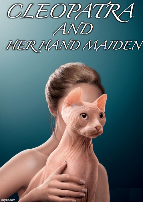 Cleopatra and her Hand Maiden | CLEOPATRA; AND; HER HAND MAIDEN | image tagged in cat woman,cleopatra,cats,hand maiden | made w/ Imgflip meme maker