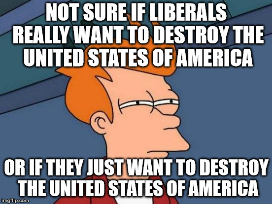 Futurama Fry | NOT SURE IF LIBERALS REALLY WANT TO DESTROY THE UNITED STATES OF AMERICA; OR IF THEY JUST WANT TO DESTROY THE UNITED STATES OF AMERICA | image tagged in memes,futurama fry | made w/ Imgflip meme maker