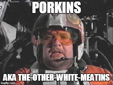 Red Leader star wars | PORKINS; AKA THE-OTHER-WHITE-MEATINS | image tagged in red leader star wars | made w/ Imgflip meme maker