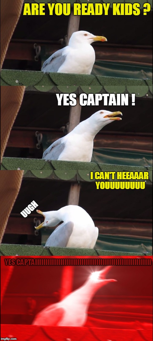 Inhaling Seagull Meme | ARE YOU READY KIDS ? YES CAPTAIN ! I CAN'T HEEAAAR YOUUUUUUUU; UUGH; YES CAPTAIIIIIIIIIIIIIIIIIIIIIIIIIIIIIIIIIIIIIIIIIIIIIIIIIIIIIII | image tagged in memes,inhaling seagull | made w/ Imgflip meme maker