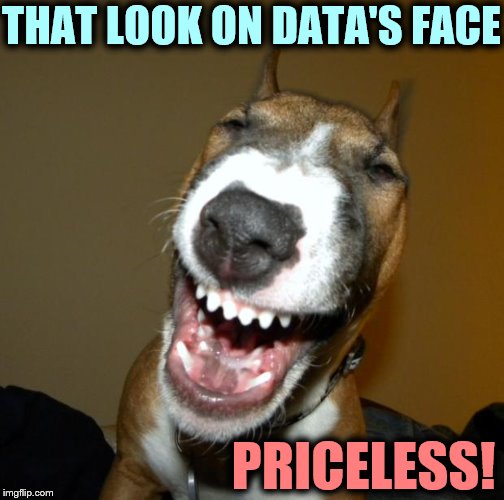 Laughing Dog | THAT LOOK ON DATA'S FACE PRICELESS! | image tagged in laughing dog | made w/ Imgflip meme maker