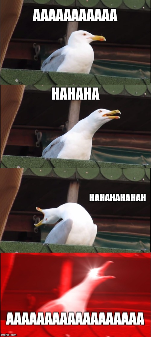 Inhaling Seagull Meme | AAAAAAAAAAA; HAHAHA; HAHAHAHAHAH; AAAAAAAAAAAAAAAAAA | image tagged in memes,inhaling seagull | made w/ Imgflip meme maker