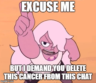 EXCUSE ME; BUT I DEMAND YOU DELETE THIS CANCER FROM THIS CHAT | image tagged in steven universe | made w/ Imgflip meme maker