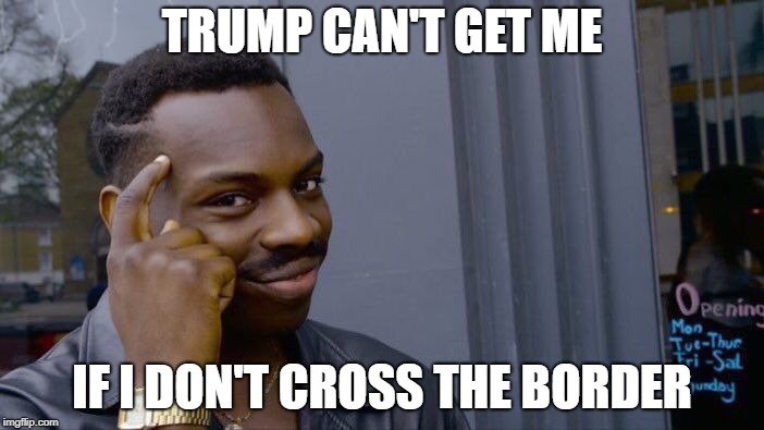 Roll Safe Think About It Meme | TRUMP CAN'T GET ME; IF I DON'T CROSS THE BORDER | image tagged in memes,roll safe think about it | made w/ Imgflip meme maker