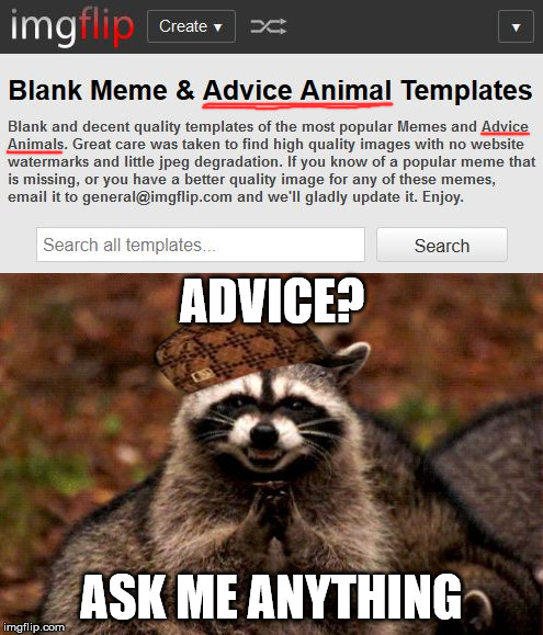 WTH is an Advice Animal? | ADVICE? ASK ME ANYTHING | image tagged in memes,advice,evil plotting raccoon,wtf,stupid | made w/ Imgflip meme maker