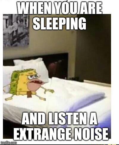 SpongeBob caveman bed | WHEN YOU ARE SLEEPING; AND LISTEN A EXTRANGE NOISE | image tagged in spongebob caveman bed | made w/ Imgflip meme maker