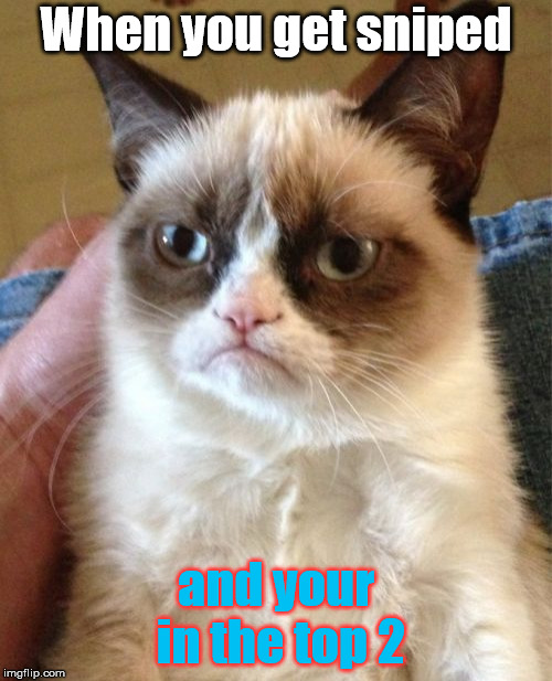 Grumpy Cat | When you get sniped; and your in the top 2 | image tagged in memes,grumpy cat | made w/ Imgflip meme maker