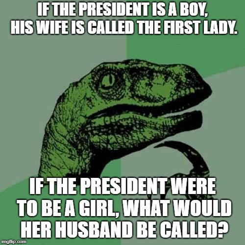 Philosoraptor Meme | IF THE PRESIDENT IS A BOY, HIS WIFE IS CALLED THE FIRST LADY. IF THE PRESIDENT WERE TO BE A GIRL, WHAT WOULD HER HUSBAND BE CALLED? | image tagged in memes,philosoraptor | made w/ Imgflip meme maker