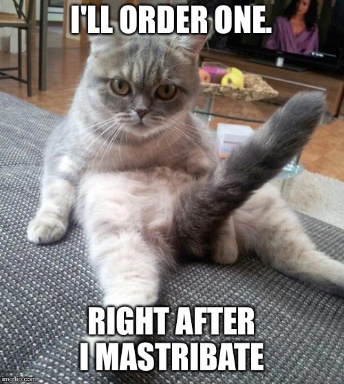 Sexy Cat Meme | I'LL ORDER ONE. RIGHT AFTER I MASTRIBATE | image tagged in memes,sexy cat | made w/ Imgflip meme maker