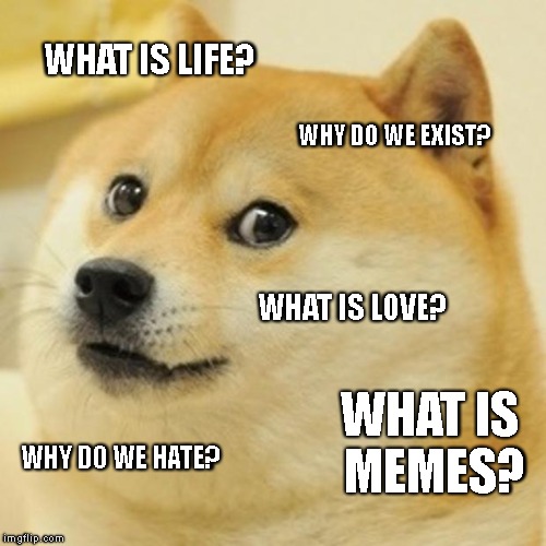 Doge | WHAT IS LIFE? WHY DO WE EXIST? WHAT IS LOVE? WHAT IS MEMES? WHY DO WE HATE? | image tagged in memes,doge | made w/ Imgflip meme maker