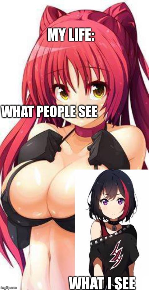 My life | MY LIFE:; WHAT PEOPLE SEE; WHAT I SEE | image tagged in hentai slut,nsfw | made w/ Imgflip meme maker