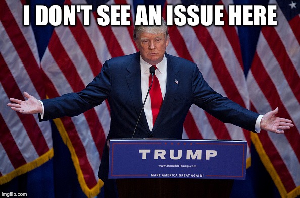 Donald Trump | I DON'T SEE AN ISSUE HERE | image tagged in donald trump | made w/ Imgflip meme maker