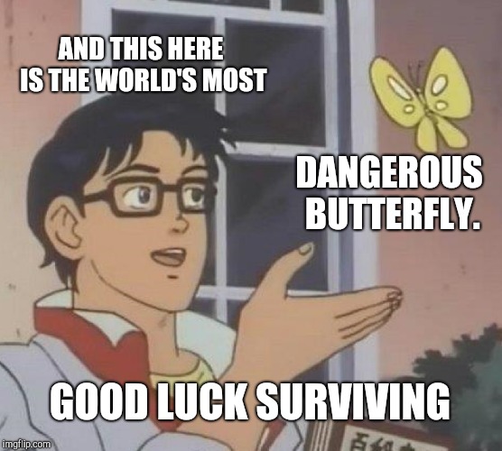 Is This A Pigeon Meme | AND THIS HERE IS THE WORLD'S MOST; DANGEROUS BUTTERFLY. GOOD LUCK SURVIVING | image tagged in memes,is this a pigeon | made w/ Imgflip meme maker