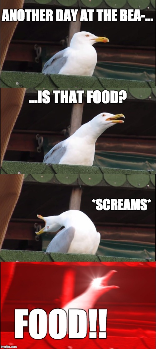 Those pesky seagulls, orgasmic to food... Well same. | ANOTHER DAY AT THE BEA-... ...IS THAT FOOD? *SCREAMS*; FOOD!! | image tagged in memes,inhaling seagull | made w/ Imgflip meme maker
