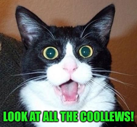 whoa cat | LOOK AT ALL THE COOLLEWS! | image tagged in whoa cat | made w/ Imgflip meme maker