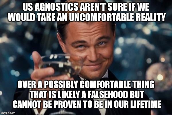 Leonardo Dicaprio Cheers Meme | US AGNOSTICS AREN’T SURE IF WE WOULD TAKE AN UNCOMFORTABLE REALITY OVER A POSSIBLY COMFORTABLE THING THAT IS LIKELY A FALSEHOOD BUT CANNOT B | image tagged in memes,leonardo dicaprio cheers | made w/ Imgflip meme maker