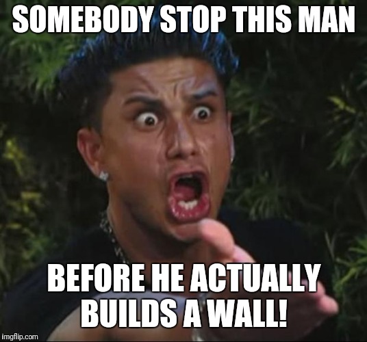 DJ Pauly D Meme | SOMEBODY STOP THIS MAN; BEFORE HE ACTUALLY BUILDS A WALL! | image tagged in memes,dj pauly d | made w/ Imgflip meme maker
