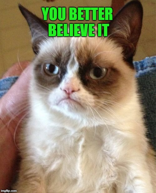 Grumpy Cat Meme | YOU BETTER BELIEVE IT | image tagged in memes,grumpy cat | made w/ Imgflip meme maker