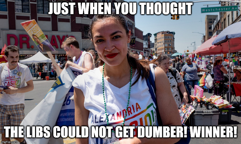 JUST WHEN YOU THOUGHT; THE LIBS COULD NOT GET DUMBER! WINNER! | image tagged in dumb libs | made w/ Imgflip meme maker