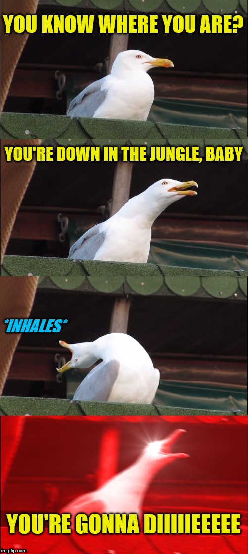 I want to hear you scream (A Masqurade_ request) | YOU KNOW WHERE YOU ARE? YOU'RE DOWN IN THE JUNGLE, BABY; *INHALES*; YOU'RE GONNA DIIIIIEEEEE | image tagged in memes,inhaling seagull,welcome to the jungle,song lyrics,personal challenge,guns n roses | made w/ Imgflip meme maker