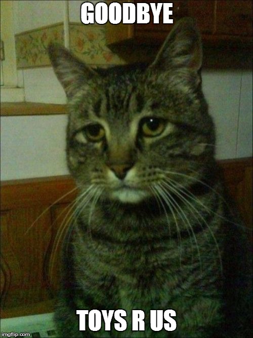 Depressed Cat Meme | GOODBYE; TOYS R US | image tagged in memes,depressed cat | made w/ Imgflip meme maker