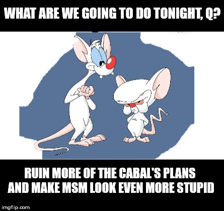 WHAT ARE WE GOING TO DO TONIGHT, Q? RUIN MORE OF THE CABAL'S PLANS AND MAKE MSM LOOK EVEN MORE STUPID | made w/ Imgflip meme maker