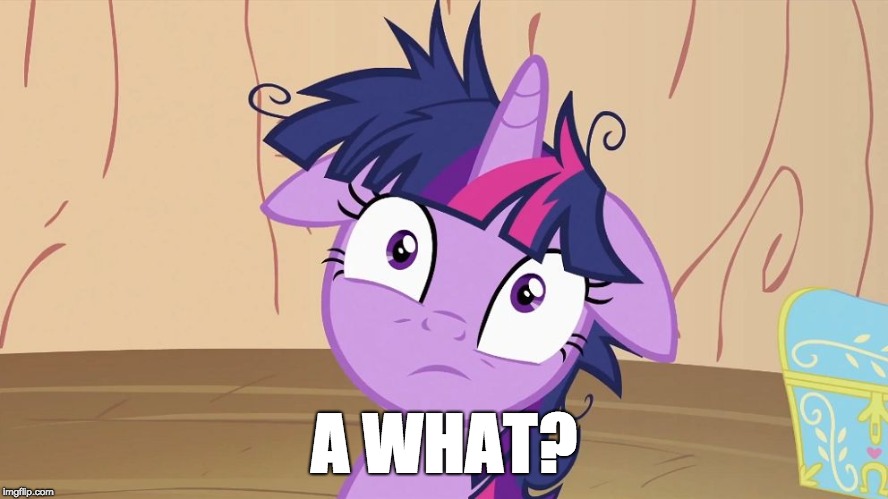 Messy Twilight Sparkle | A WHAT? | image tagged in messy twilight sparkle | made w/ Imgflip meme maker