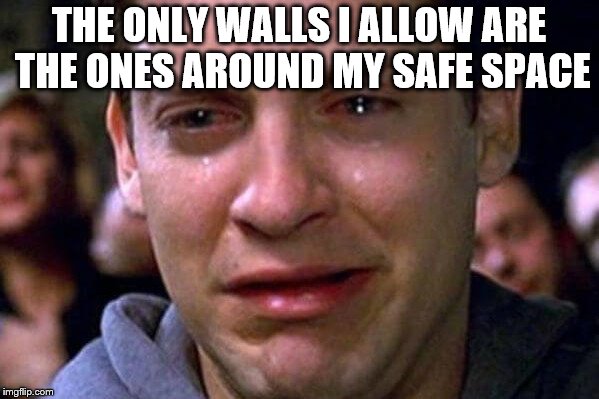 Liberal safe space | THE ONLY WALLS I ALLOW ARE THE ONES AROUND MY SAFE SPACE | image tagged in liberal safe space | made w/ Imgflip meme maker