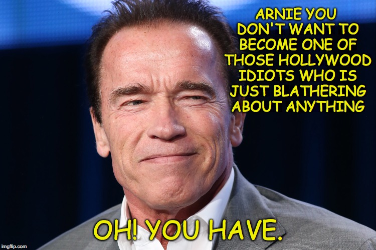Dumb Ass Arnie | ARNIE YOU DON'T WANT TO BECOME ONE OF THOSE HOLLYWOOD IDIOTS WHO IS JUST BLATHERING ABOUT ANYTHING; OH! YOU HAVE. | image tagged in dumb ass arnie,special kind of stupid,donald trump,democrats | made w/ Imgflip meme maker
