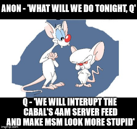 ANON - 'WHAT WILL WE DO TONIGHT, Q'; Q - 'WE WILL INTERUPT THE CABAL'S 4AM SERVER FEED AND MAKE MSM LOOK MORE STUPID' | made w/ Imgflip meme maker