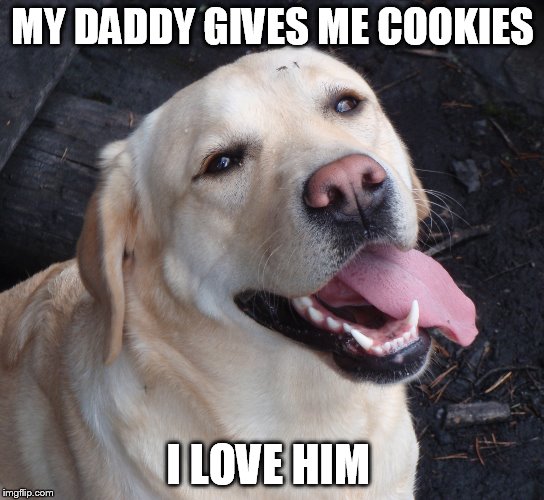 Nice to be loved | MY DADDY GIVES ME COOKIES; I LOVE HIM | image tagged in man's best friend | made w/ Imgflip meme maker