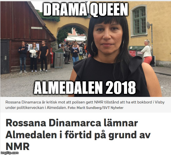 DRAMA QUEEN; ALMEDALEN 2018 | made w/ Imgflip meme maker