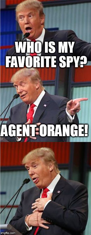 Bad Pun Trump | WHO IS MY FAVORITE SPY? AGENT ORANGE! | image tagged in bad pun trump | made w/ Imgflip meme maker