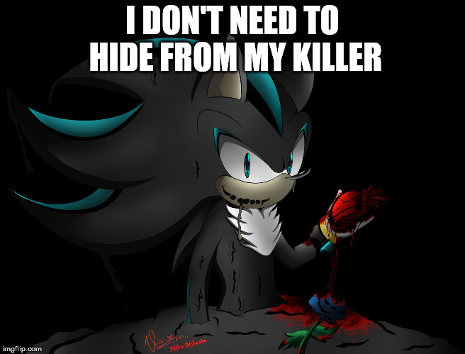 Death?.. of Mephiles | I DON'T NEED TO HIDE FROM MY KILLER | image tagged in death of mephiles | made w/ Imgflip meme maker