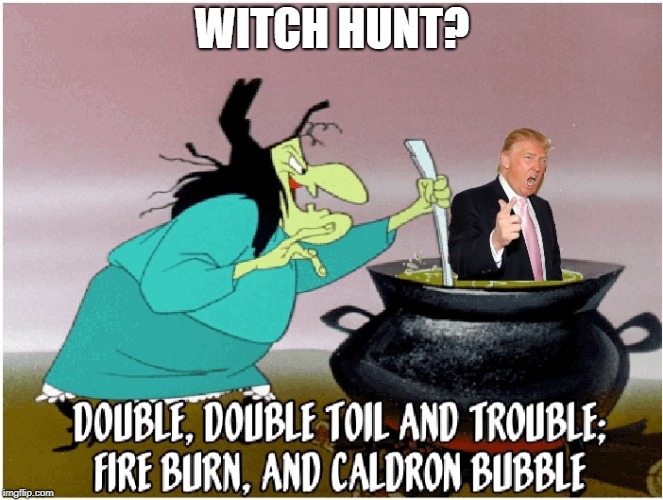 Witch Hunt Donald? | WITCH HUNT? | image tagged in witch hunt,trump | made w/ Imgflip meme maker