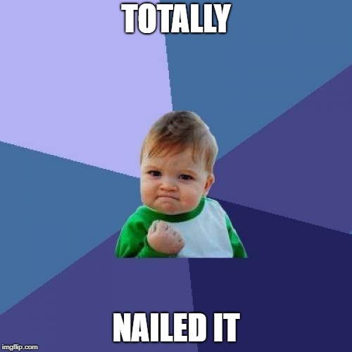 Success Kid Meme | TOTALLY NAILED IT | image tagged in memes,success kid | made w/ Imgflip meme maker