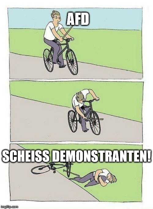 Bike Fall Meme | AFD; SCHEISS DEMONSTRANTEN! | image tagged in bike fall | made w/ Imgflip meme maker