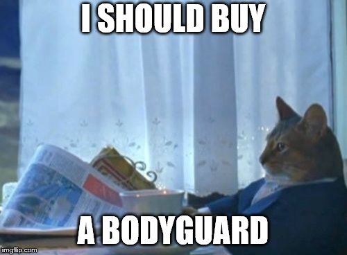 I Should Buy A Boat Cat Meme | I SHOULD BUY A BODYGUARD | image tagged in memes,i should buy a boat cat | made w/ Imgflip meme maker