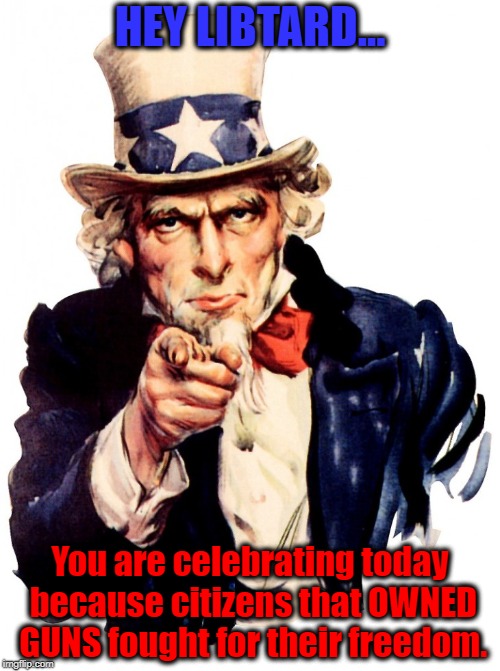 Gun Owners | HEY LIBTARD... You are celebrating today because citizens that OWNED GUNS fought for their freedom. | image tagged in independence day | made w/ Imgflip meme maker