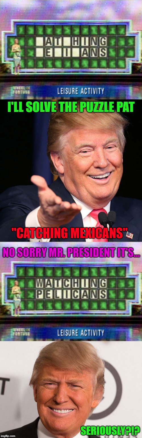 They didn't say "who's" leisure activity! | I'LL SOLVE THE PUZZLE PAT; "CATCHING MEXICANS"; NO SORRY MR. PRESIDENT IT'S... SERIOUSLY?!? | image tagged in wheel of fortune,memes,trump,funny,word puzzle | made w/ Imgflip meme maker