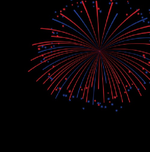 High Quality fireworks Blank Meme Template