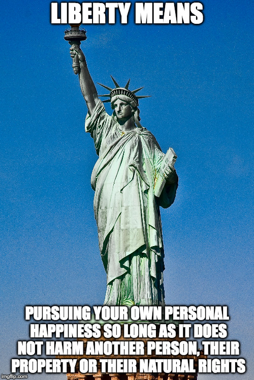 Liberty means | LIBERTY MEANS; PURSUING YOUR OWN PERSONAL HAPPINESS SO LONG AS IT DOES NOT HARM ANOTHER PERSON, THEIR PROPERTY OR THEIR NATURAL RIGHTS | image tagged in liberty,pursuit of happiness | made w/ Imgflip meme maker