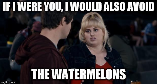Fat Amy | IF I WERE YOU, I WOULD ALSO AVOID THE WATERMELONS | image tagged in fat amy | made w/ Imgflip meme maker