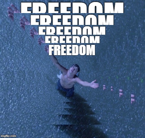 How I feel on imgflip, now that any template can be used for meme comments. (Thanks mods!) | FREEDOM | image tagged in memes,shawshank redemption freedom,imgflip feature,meme comments,mods,thanks mods | made w/ Imgflip meme maker