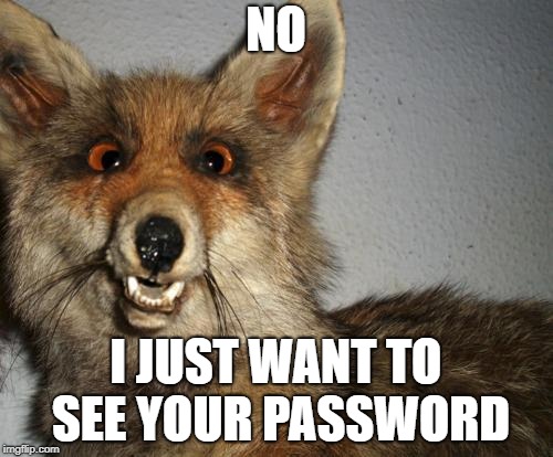 Stuffed Fox | NO I JUST WANT TO SEE YOUR PASSWORD | image tagged in stuffed fox | made w/ Imgflip meme maker