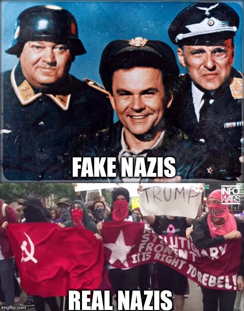 The New Nazis = Liberals | FAKE NAZIS; REAL NAZIS | image tagged in liberal logic,maga | made w/ Imgflip meme maker